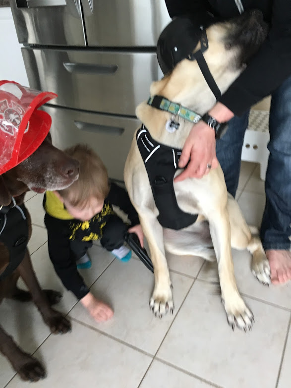 kona and Addie laying together