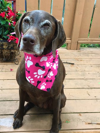 Kona with Pink kerchief 2